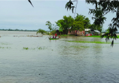 বিপৎসীমার কাছাকাছি তিস্তার পানি, ৫ হাজার পরিবার পানিবন্দি