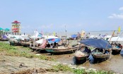 আজ মধ্যরাত থেকে টানা ২২ দিন ইলিশ ধরায় নিষেধাজ্ঞা